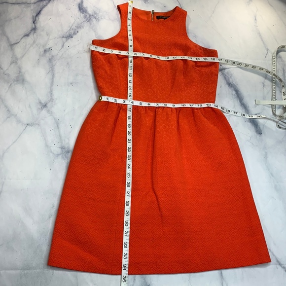 Cynthia Steffe Bright Orange Textured Dress - Picture 6 of 8